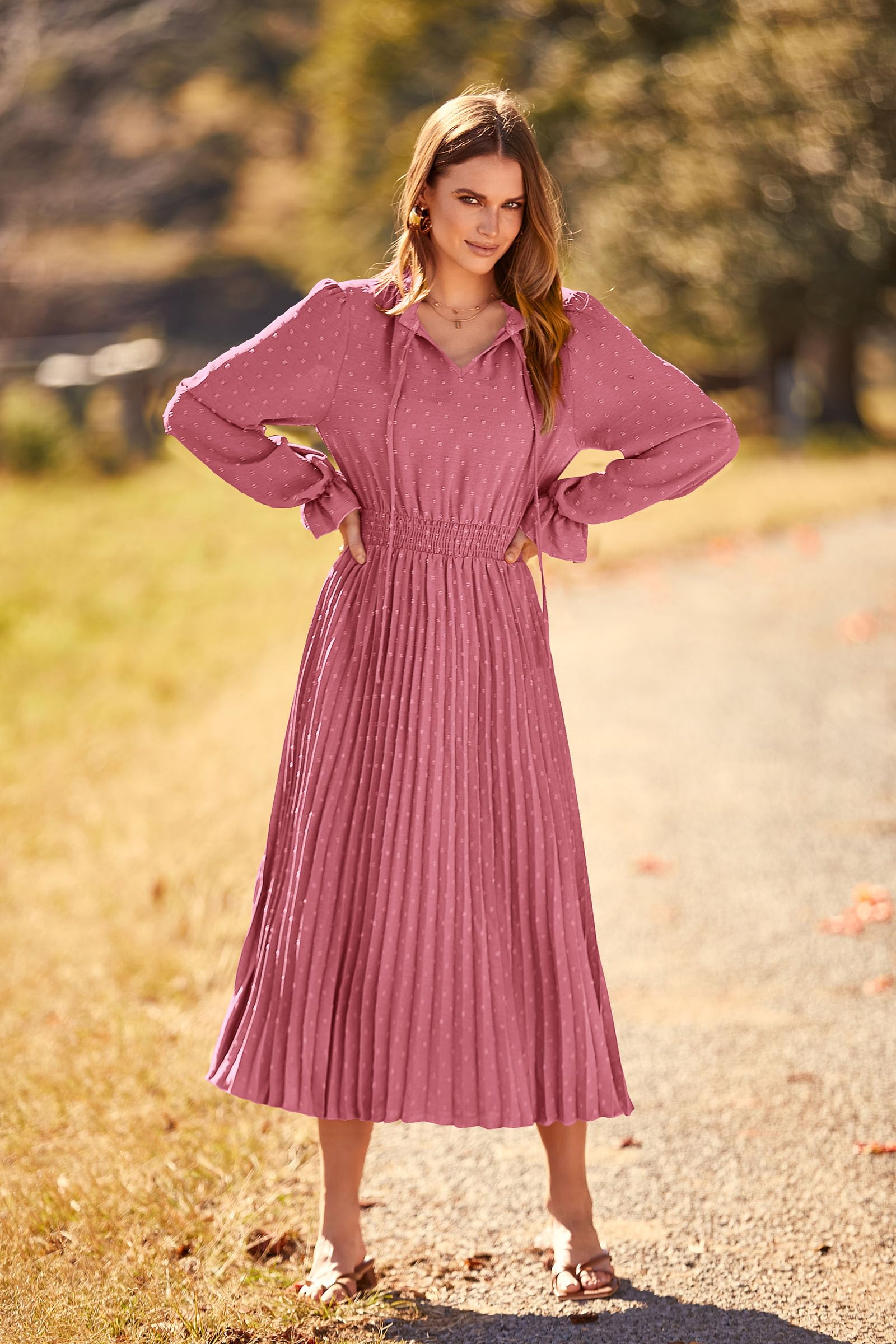 PRETTYGARDEN Women's Spring Fall Midi Dress Casual Long Sleeve V Neck Swiss Dot Pleated A Line Flowy Dresses