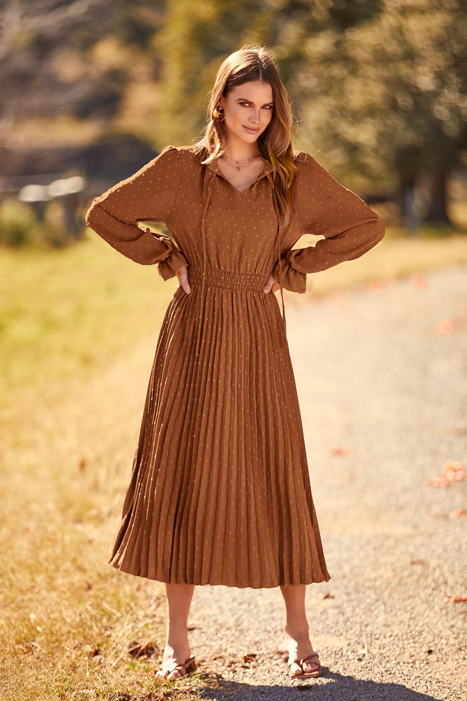 PRETTYGARDEN Women's Spring Fall Midi Dress Casual Long Sleeve V Neck Swiss Dot Pleated A Line Flowy Dresses