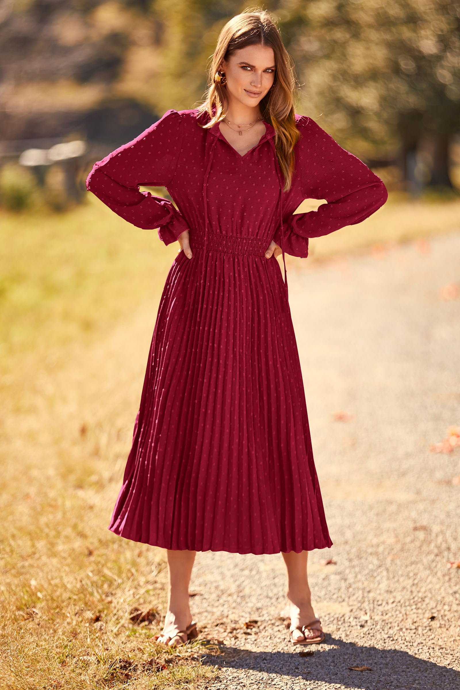 PRETTYGARDEN Women's Spring Fall Midi Dress Casual Long Sleeve V Neck Swiss Dot Pleated A Line Flowy Dresses