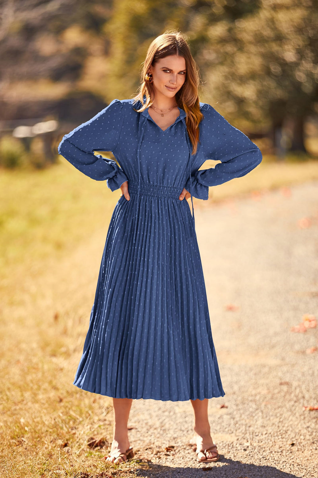 PRETTYGARDEN Women's Spring Fall Midi Dress Casual Long Sleeve V Neck Swiss Dot Pleated A Line Flowy Dresses