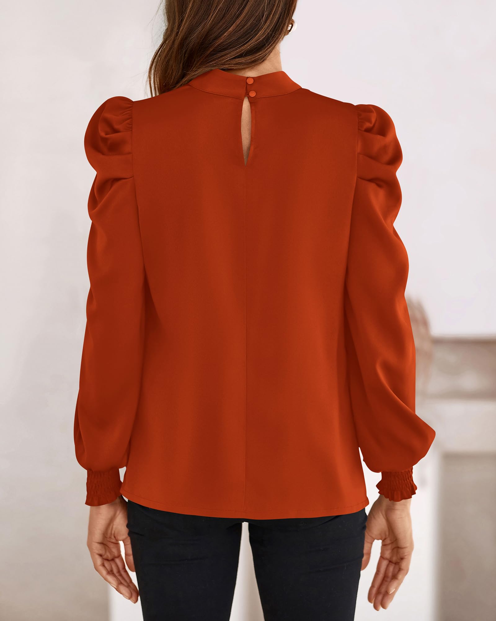 FreshPretty Mock Neck Long Sleeve Blouses for Women Dressy Casual Business Work Shirts Spring Fall Clothes Satin Tops